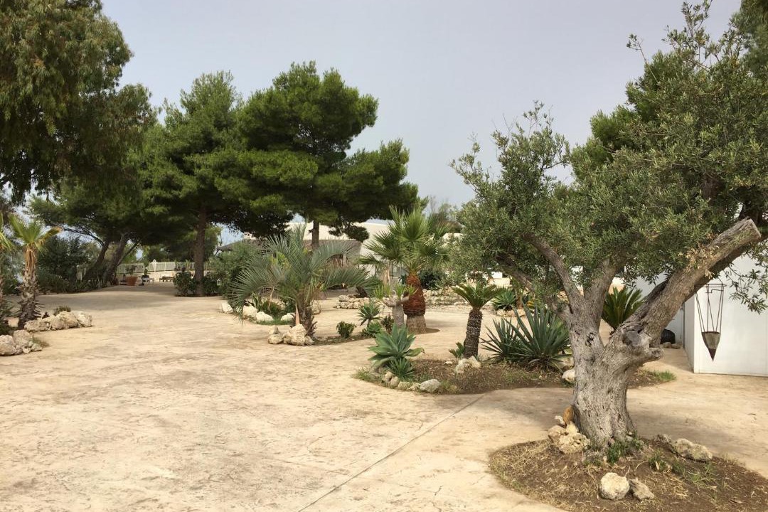 Photo of Others in Agrigento