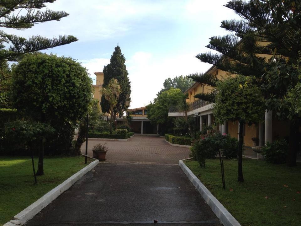 Photo of Others in Colonia Elena