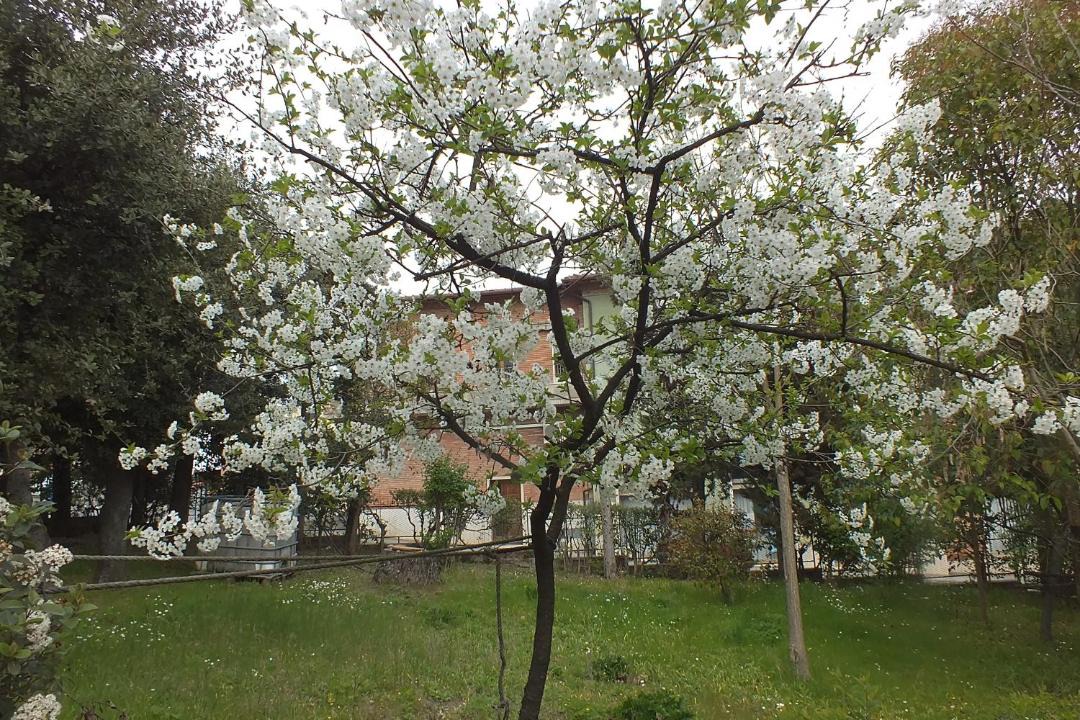 Photo of Outdoor in Sinalunga