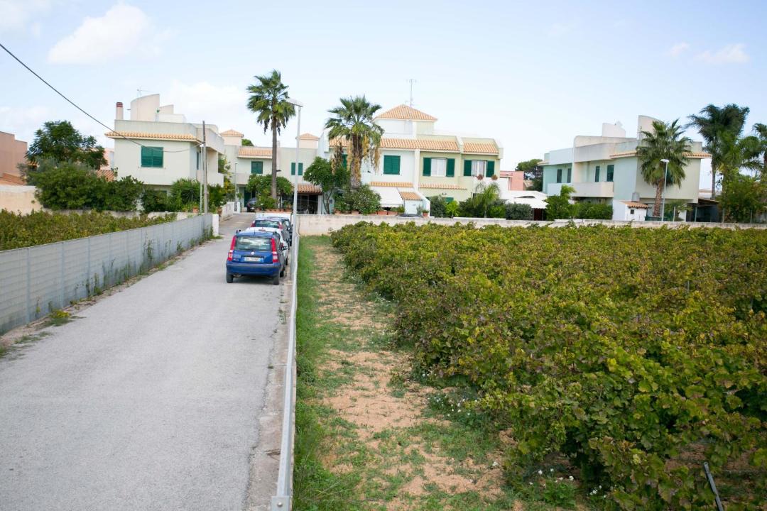Photo of Others in Marsala