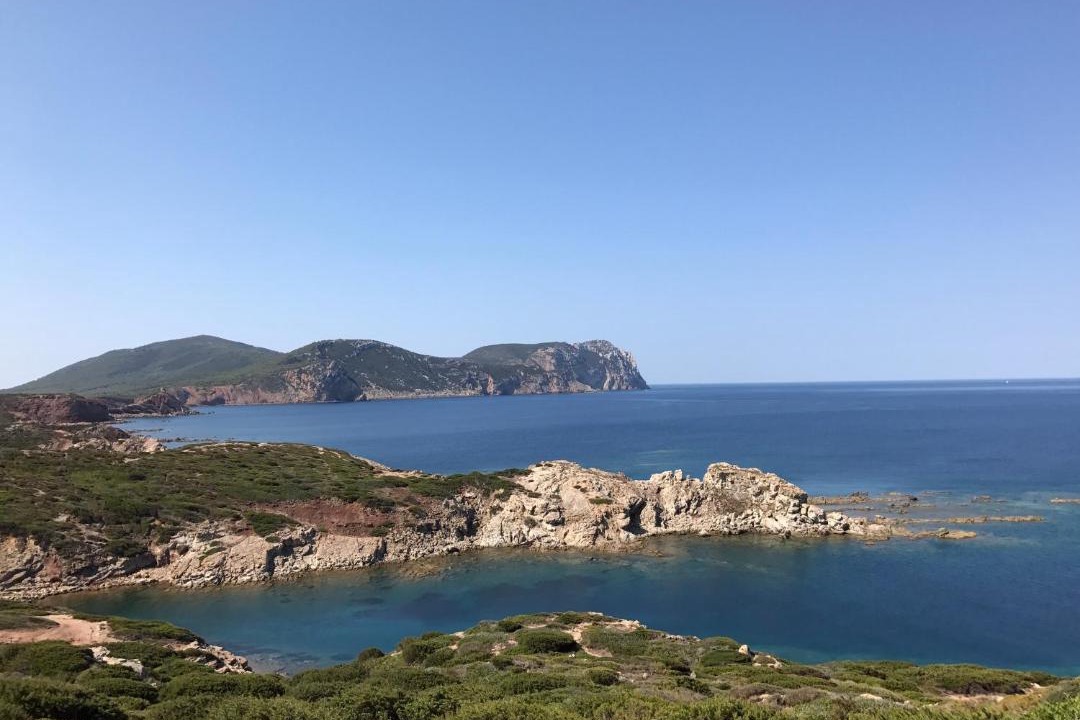 Photo of Others in Alghero