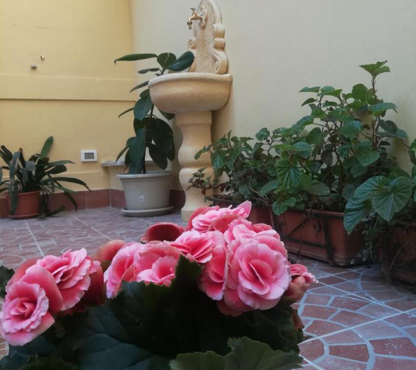 Photo of Others in Palermo