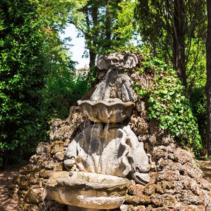 Photo of Others in Sansepolcro