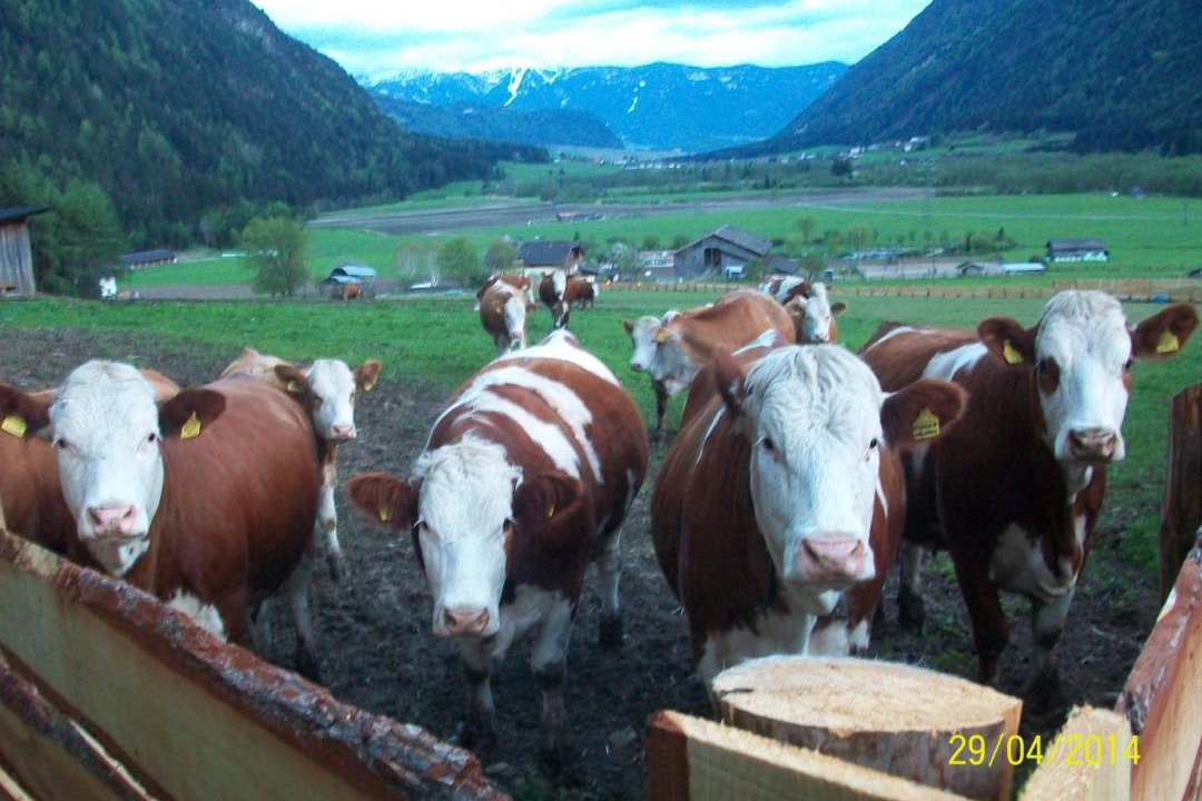 Photo of Others in Caminata di Tures