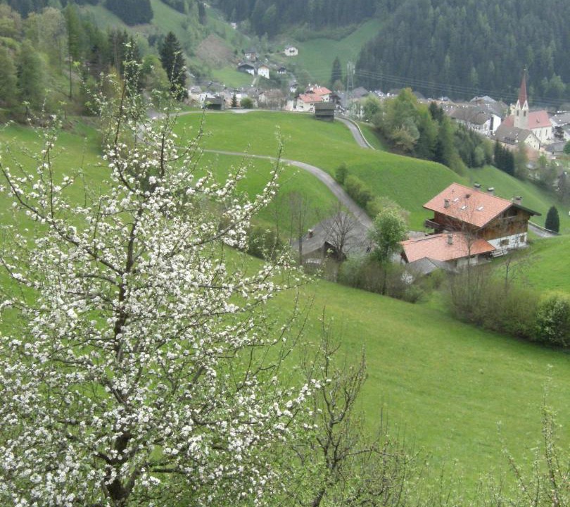 Photo of Others in Luson