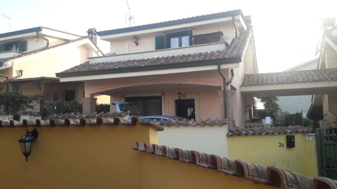 Photo of Others in Ardea