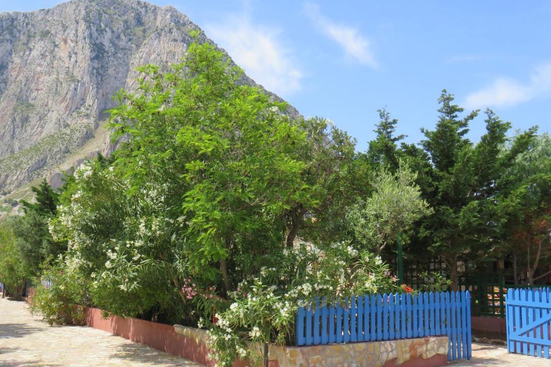 Photo of Others in San Vito Lo Capo