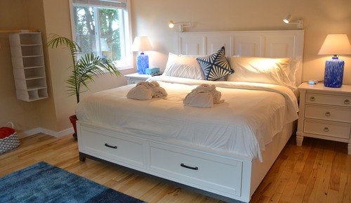 Exclusive Room (Pet Friendly) 