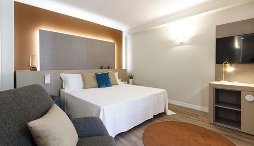 Deluxe Double Room Single Use