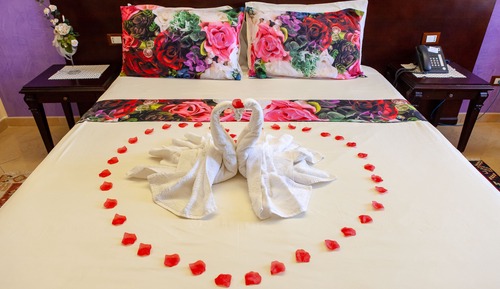 Double Room Single Use