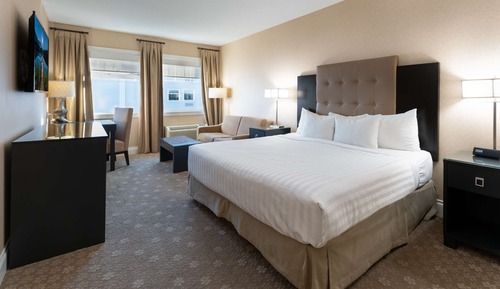 Standard Room, 1 King Bed, Non Smoking (with Sofabed)