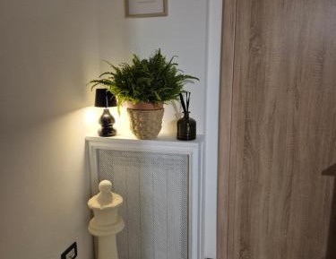 Suite with Terrace