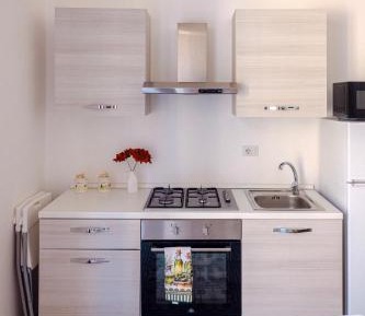 Deluxe One-Bedroom Apartment