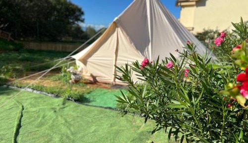 Tent