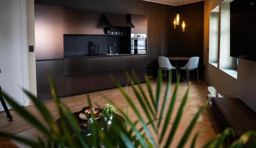 Deluxe One-Bedroom Apartment