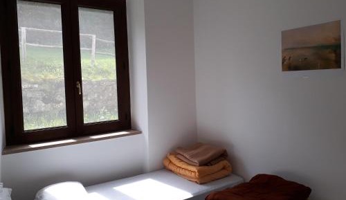 Single Bed in Mixed Dormitory Room