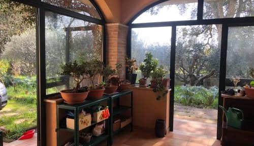 Double Room with Shared Bathroom