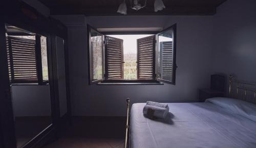 Classic Apartment