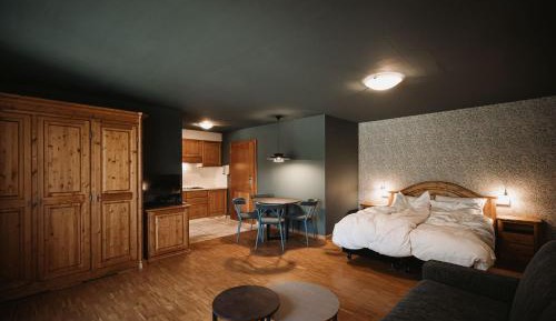 Studio Apartment