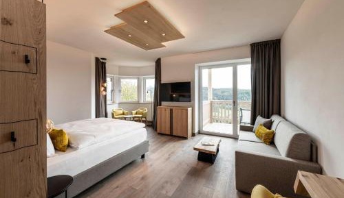 Double Room with Mountain View