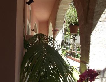 One-Bedroom Apartment with Garden View