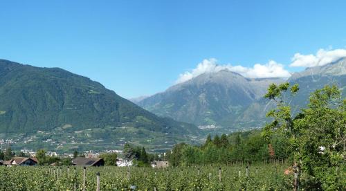 Suite with Pool View