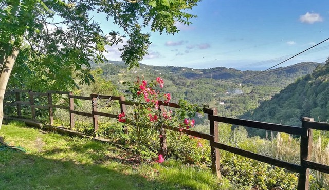 Quiet, hilly location, apartment with a view of the sea