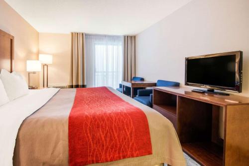 Comfort Inn Fallsview 